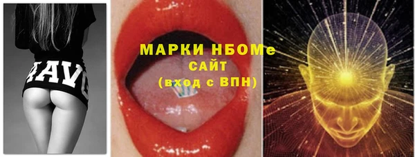 дмт Алзамай