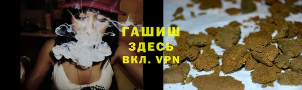 дмт Алзамай