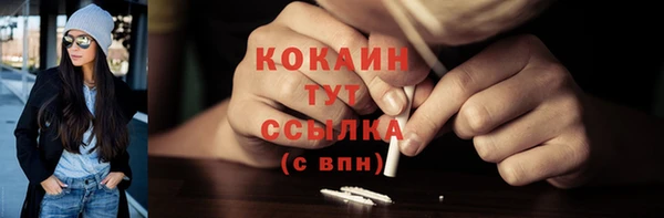 прущие грибы Переславль-Залесский